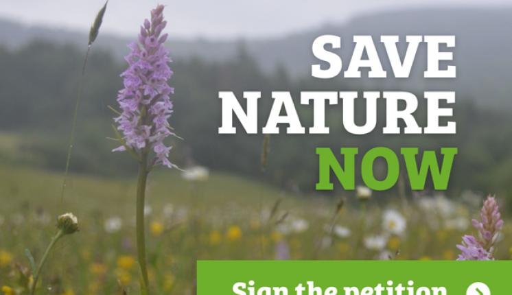 State of Nature Petition