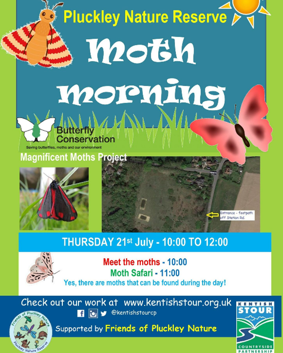 Moth Morning